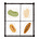 The Koji Collection