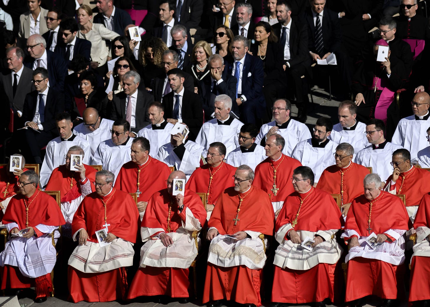 The cardinals sitting together. The cardinals sitting together.