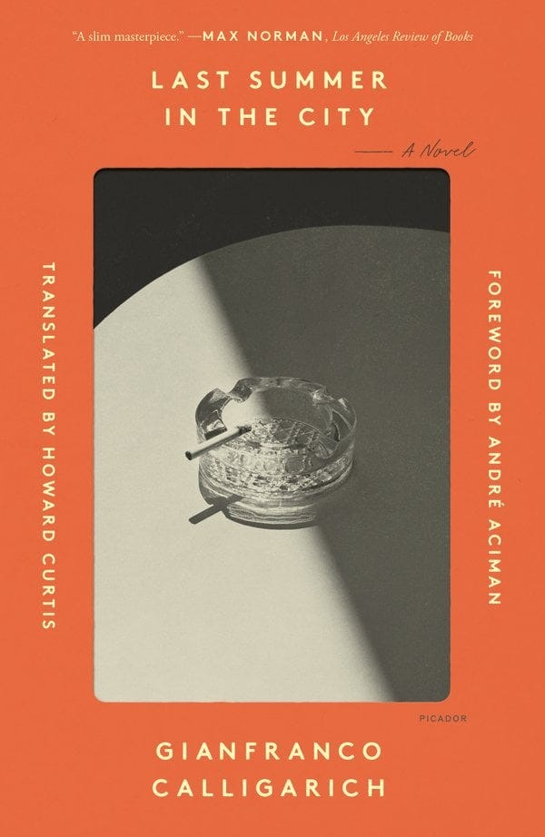 Last Summer in the City bookcover