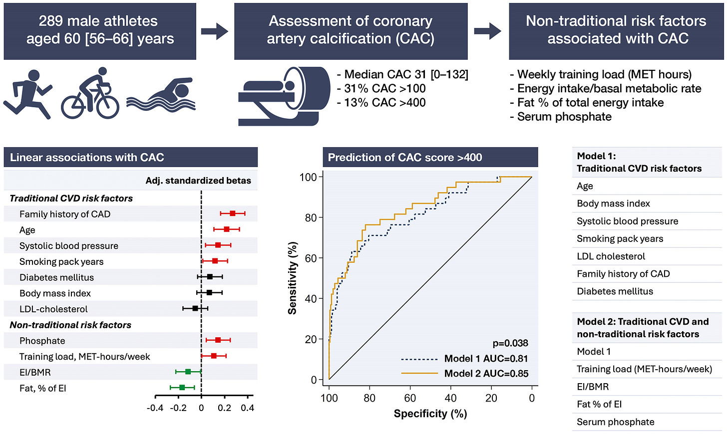 In middle-aged and older male athletes, non-traditional risk factors—including weekly training load (MET hours), energy intake, fat percentage of energy intake, and serum phosphate—were significantly associated with CAC and improved CAC score prediction beyond traditional cardiovascular risk factors. a.u., arbitrary units; AUC, area under the curve; BMR, basal metabolic rate; CAC, coronary artery calcification; CAD, coronary artery disease; CVD, cardiovascular disease; EI, energy intake; MET, metabolic equivalent of task.