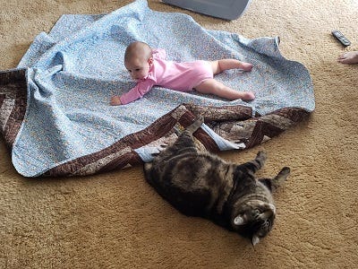 Thomas Guarding JJ