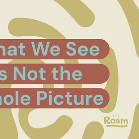 What We See is Not the Whole Picture