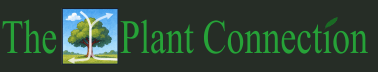 The Plant Connection