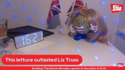 Liz Truss lettuce - Wikipedia Liz Truss lettuce - Wikipedia
