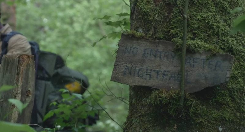 blair witch tree warning blair witch tree warning