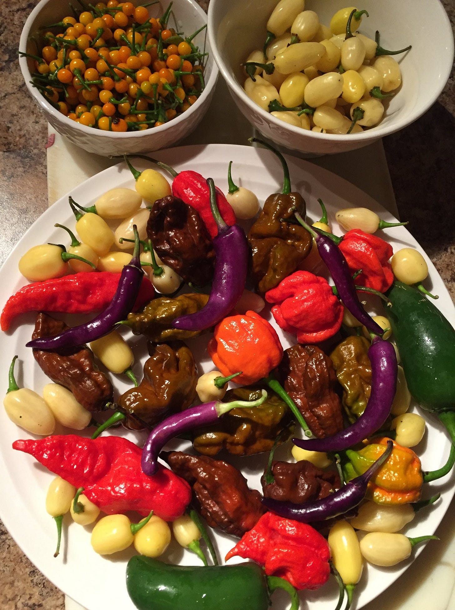 heirloom hot peppers from the garden