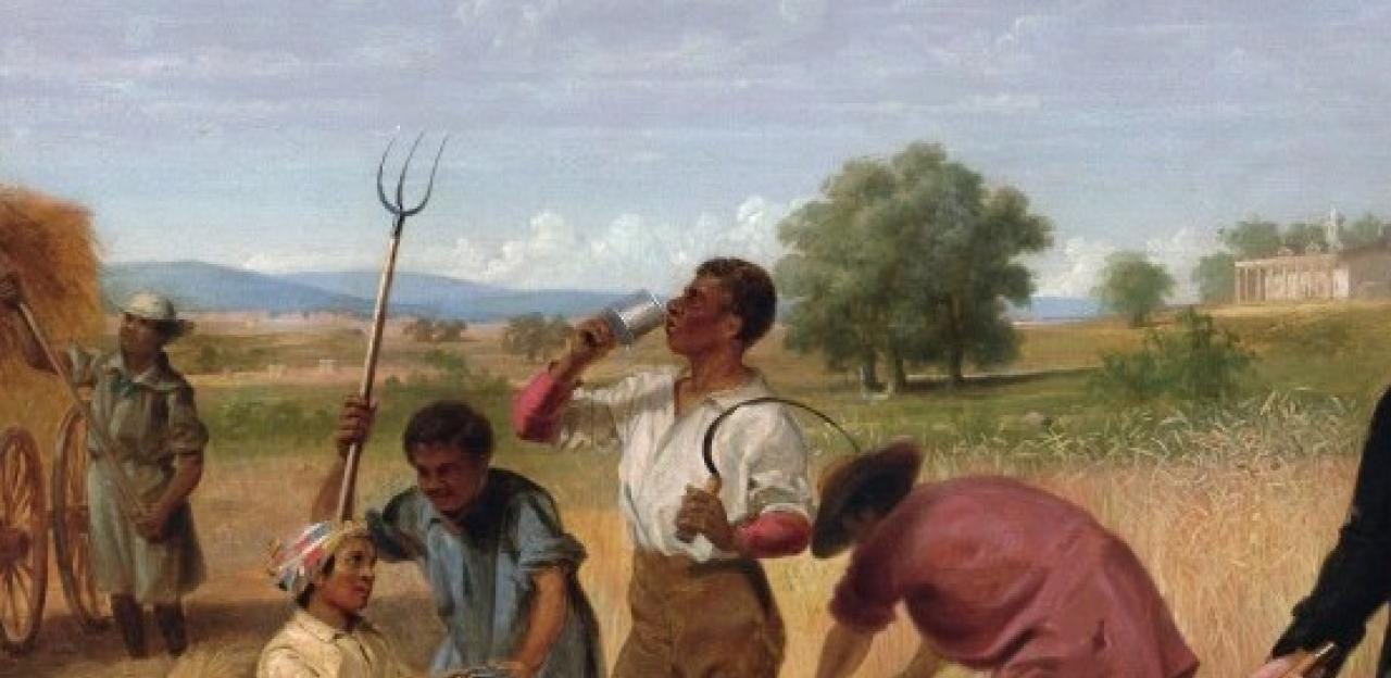 Colonial American Agriculture