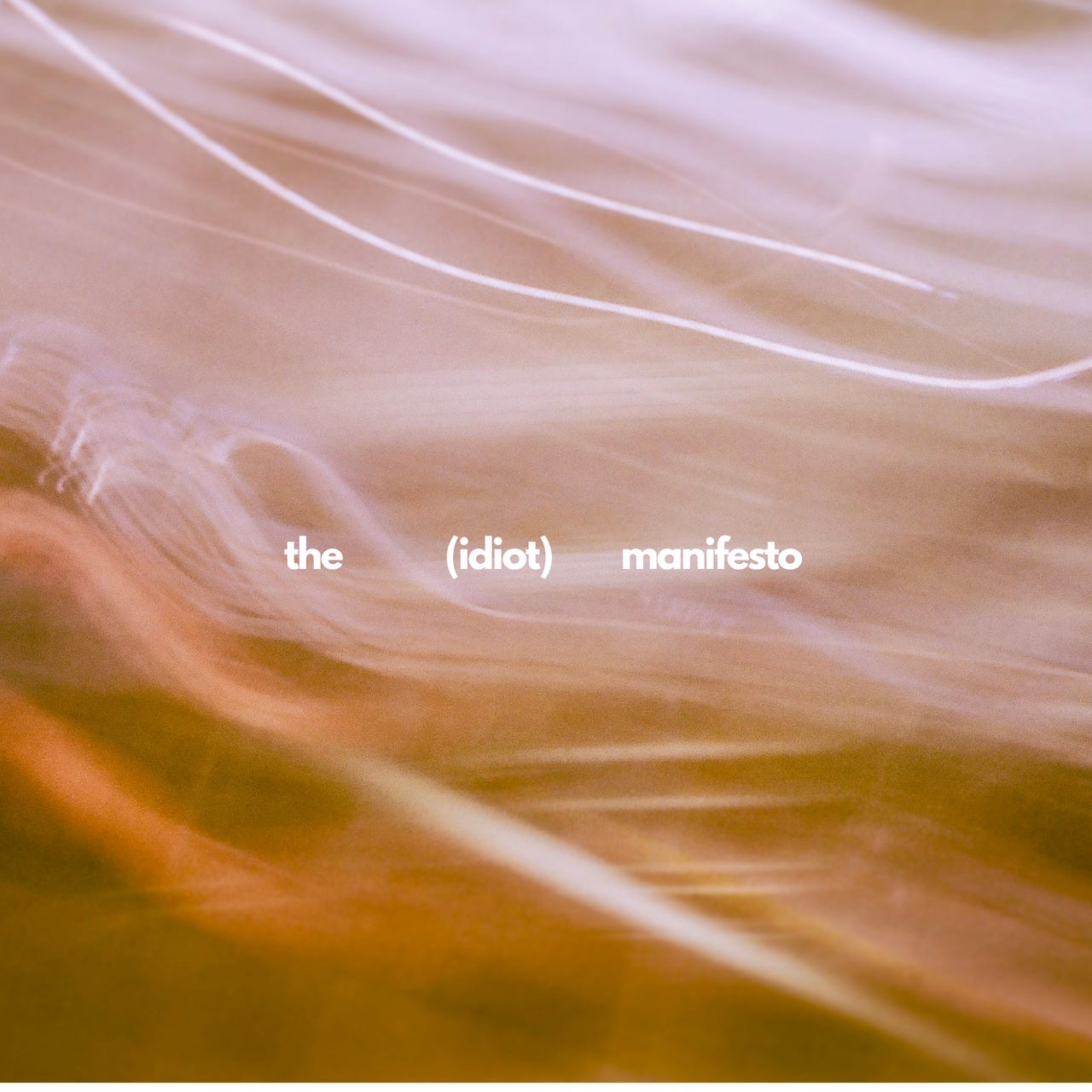 The Idiot Manifesto