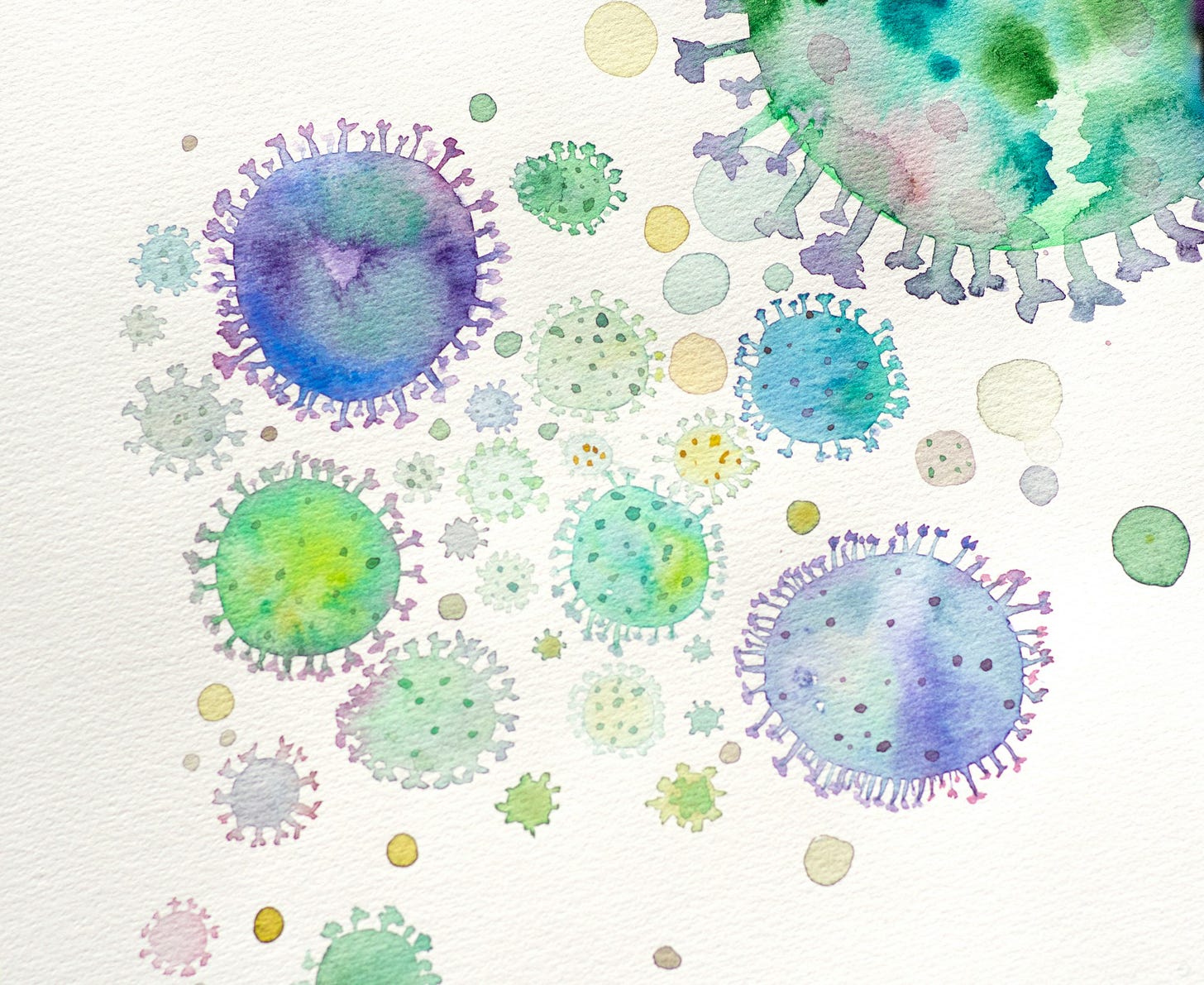 virus virus
