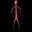 John Dawn's avatar