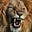 Crazyhorse479's avatar