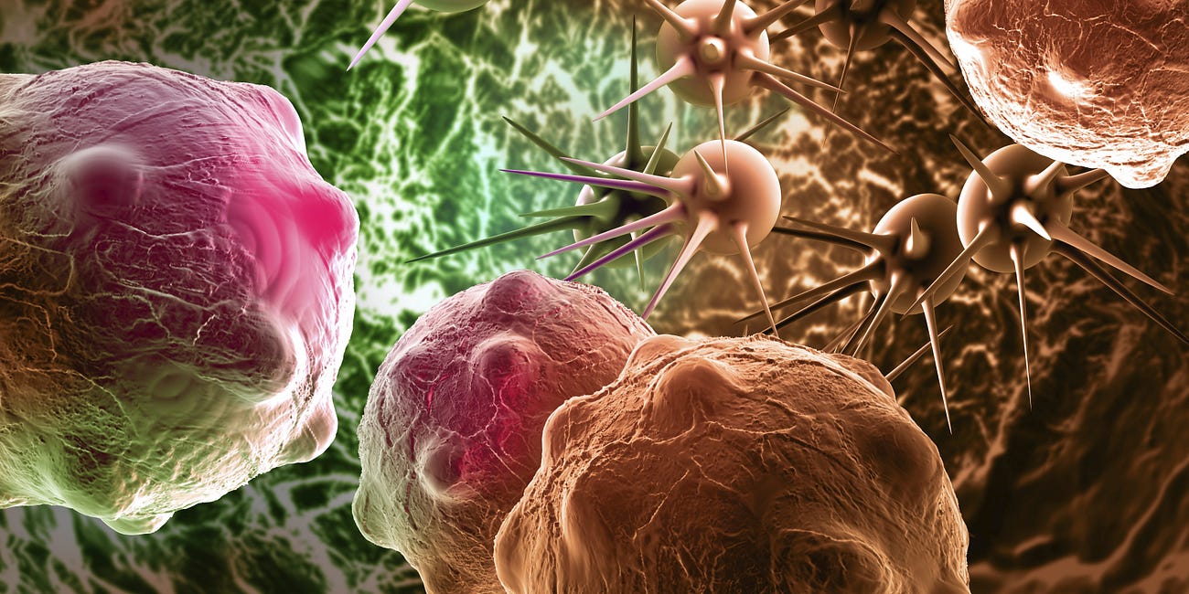 What Is Causing the Cancer Epidemic?
