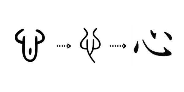 A imagem ilustra a evolução em três estágios de um pictograma para o kanji lido como kokoro. O primeiro estágio apresenta uma forma composta por uma forma vertical arredondada com duas curvas no topo em semicírculo, e um pequeno traço horizontal próximo à base. O segundo apresenta uma versão mais estilizada do mesmo símbolo, com linhas mais finas e curvas mais pronunciadas. O terceiro mostra o kanji atual, que mantém alguns traços curvos do símbolo original, mas é significativamente mais abstrato e menos sugestivo.