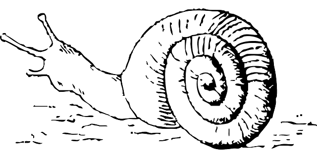 Meet Mr Languid Latency, the corporate creature who hides his waste. Image from Pixabay | Executive Decisions.
