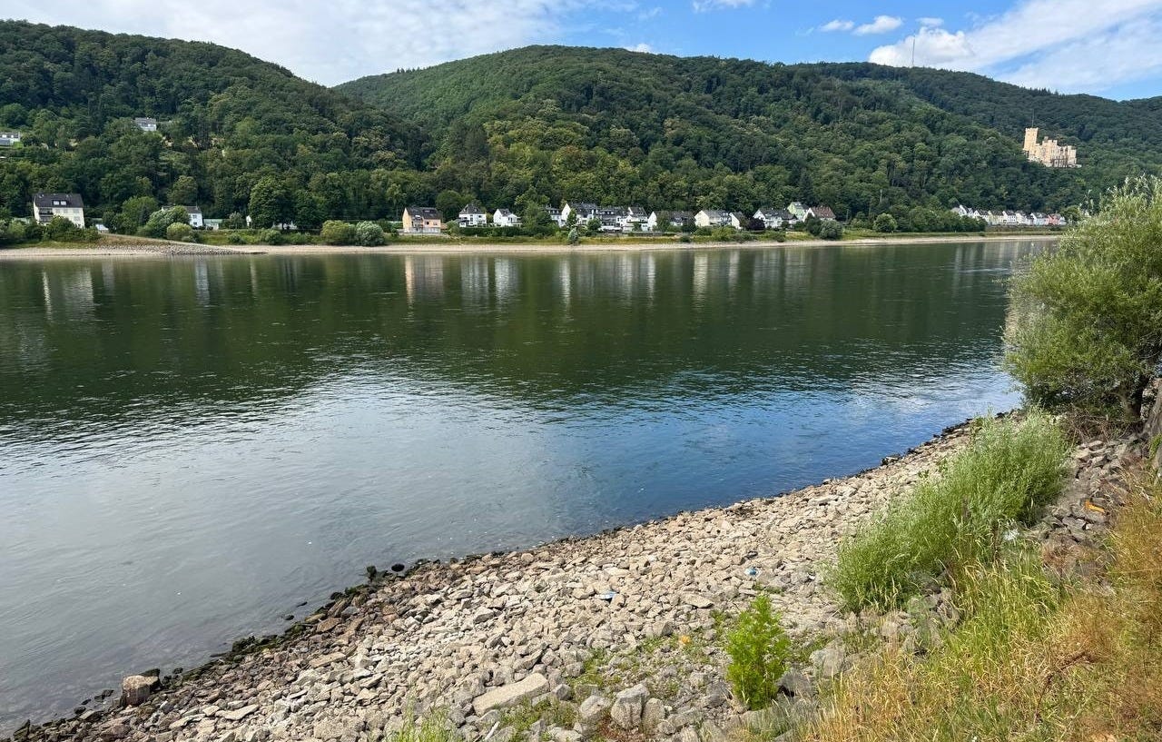 Low Rhine water levels near Koblenz, July 2026 - exposed gravel banks along the riverbank Low Rhine water levels near Koblenz, July 2026 - exposed gravel banks along the riverbank