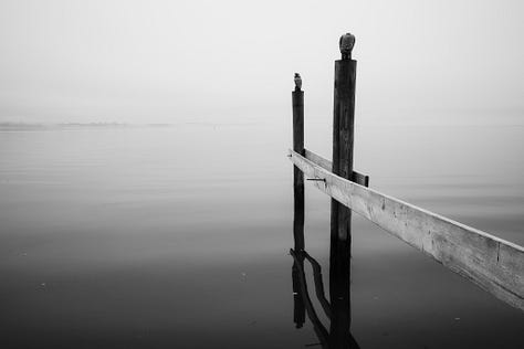 All six photos selected for this mini-project