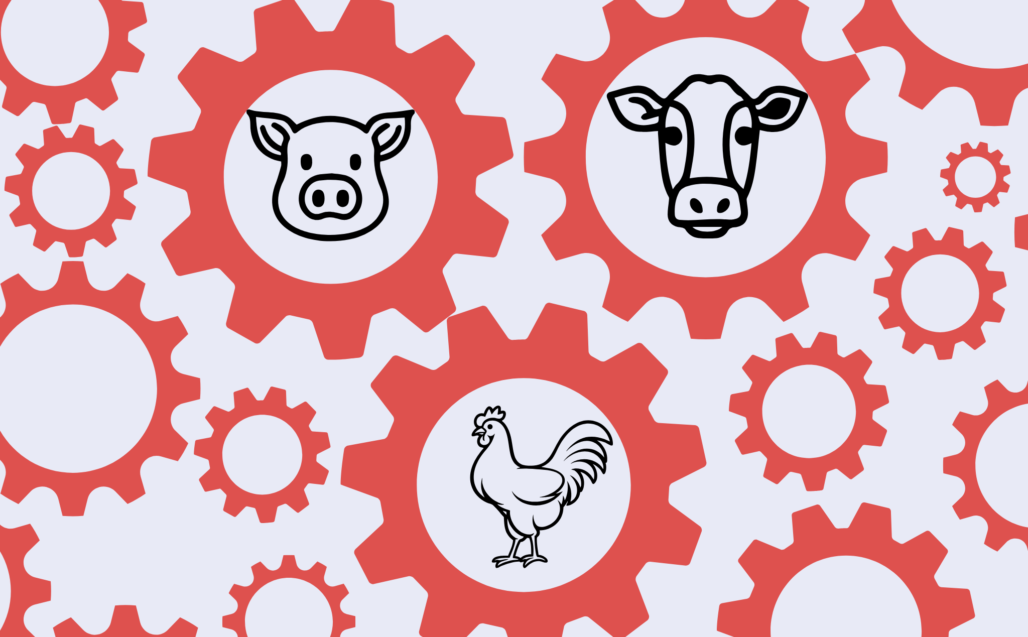 What Are the Real Consequences of Factory Farming?