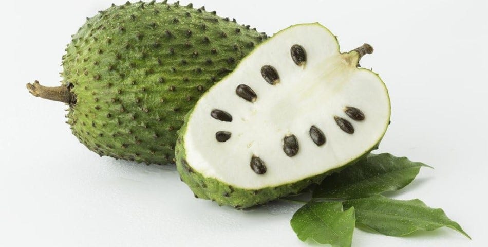 healthHQ | The Health Benefits and Risks of Soursop: An In-Depth Look at  Annona muricata Lin.