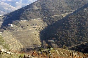 The Douro valley
