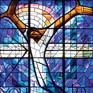 The Crucifixion: Understanding the Death of Jesus Christ: Rutledge,  Fleming: 9780802875341: Amazon.com: Books