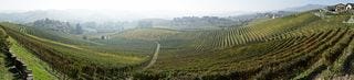 Panoramic view of vineyards Panoramic view of vineyards