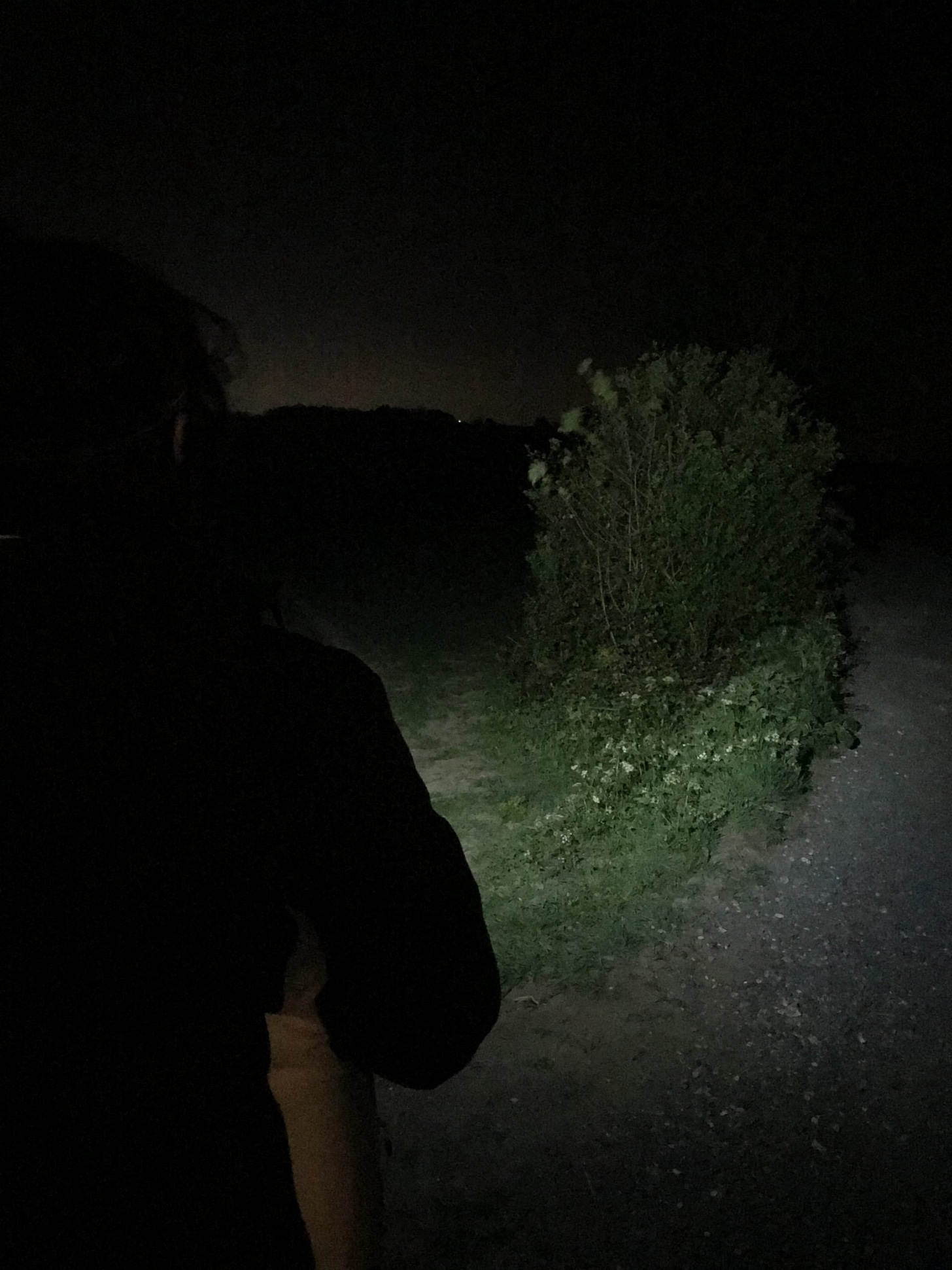 Black Diamond SPRINT 225 Headlamp
