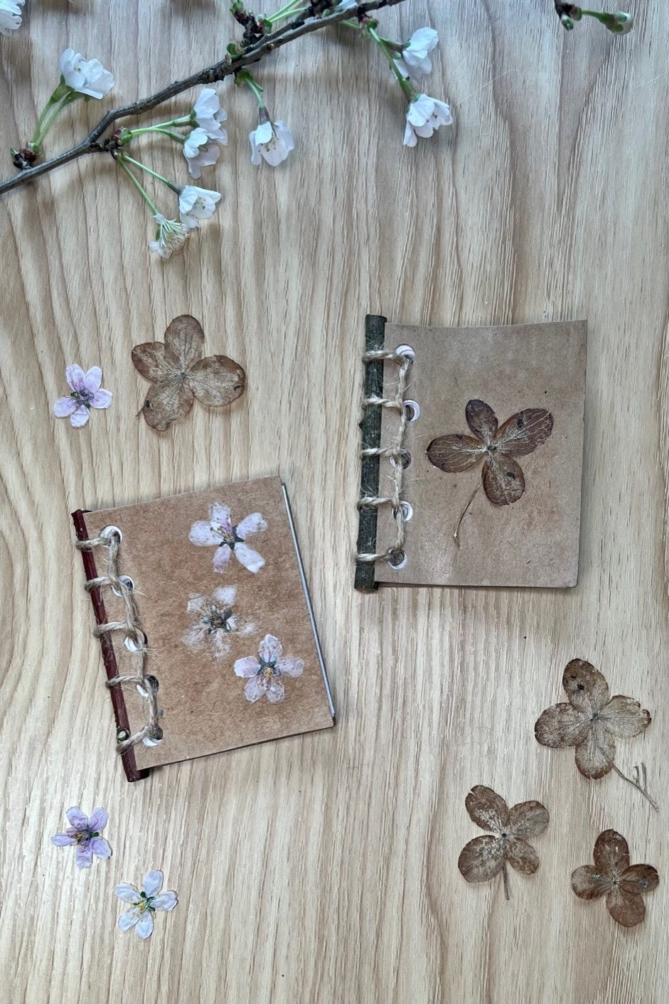 Fairy notebooks