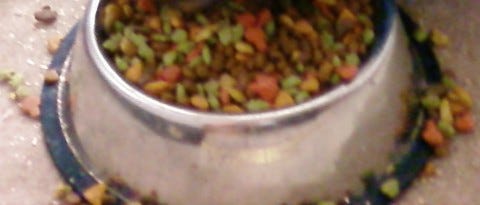 Cat_Chow_Feed_Cats_Dry_or_Wet_food