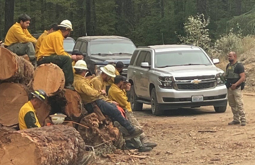 Nine or ten firefighters in bright yellow vests and windbreakers, some wearing white hardhats, sit on felled logs along a dirt forest road, looking down (either at phones or just downcast) as a uniformed Border Patrol agent in khakis, a black tee, and an olive drab vest (too short and thin to be a ballistic vest) stands about ten feet in front of them. The cop appears to be holding a thermos, but if he was offering them coffee or water, they make no eye contact with him. A line of grey and black government SUVs marks a sort of boundary between the firefighters and the agent, who stands at the front bumper of the lead vehicle. Nine or ten firefighters in bright yellow vests and windbreakers, some wearing white hardhats, sit on felled logs along a dirt forest road, looking down (either at phones or just downcast) as a uniformed Border Patrol agent in khakis, a black tee, and an olive drab vest (too short and thin to be a ballistic vest) stands about ten feet in front of them. The cop appears to be holding a thermos, but if he was offering them coffee or water, they make no eye contact with him. A line of grey and black government SUVs marks a sort of boundary between the firefighters and the agent, who stands at the front bumper of the lead vehicle.