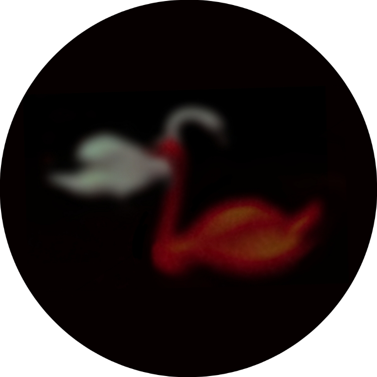 last words of a roadkill