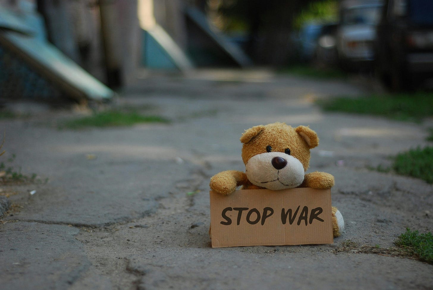 A tan and white stuffed child’s teddy bear sitting on concrete, holding a cardboard sign reading; “STOP WAR”. A tan and white stuffed child’s teddy bear sitting on concrete, holding a cardboard sign reading; “STOP WAR”.