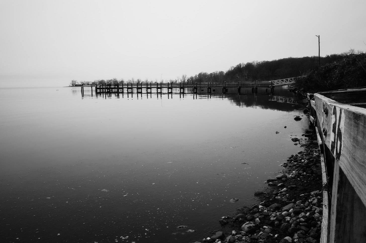 Neighborhood harbor in fog with more details