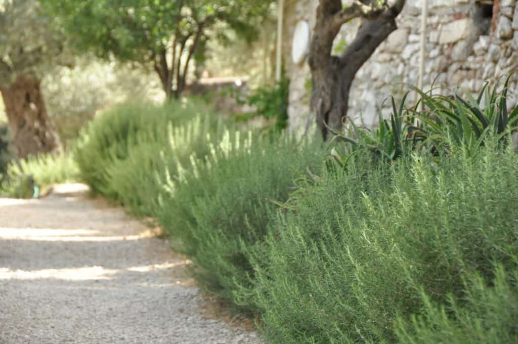 outdoor space