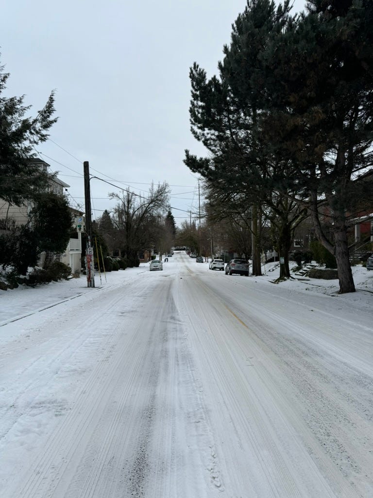 A snowy road with trees and houses

Description automatically generated