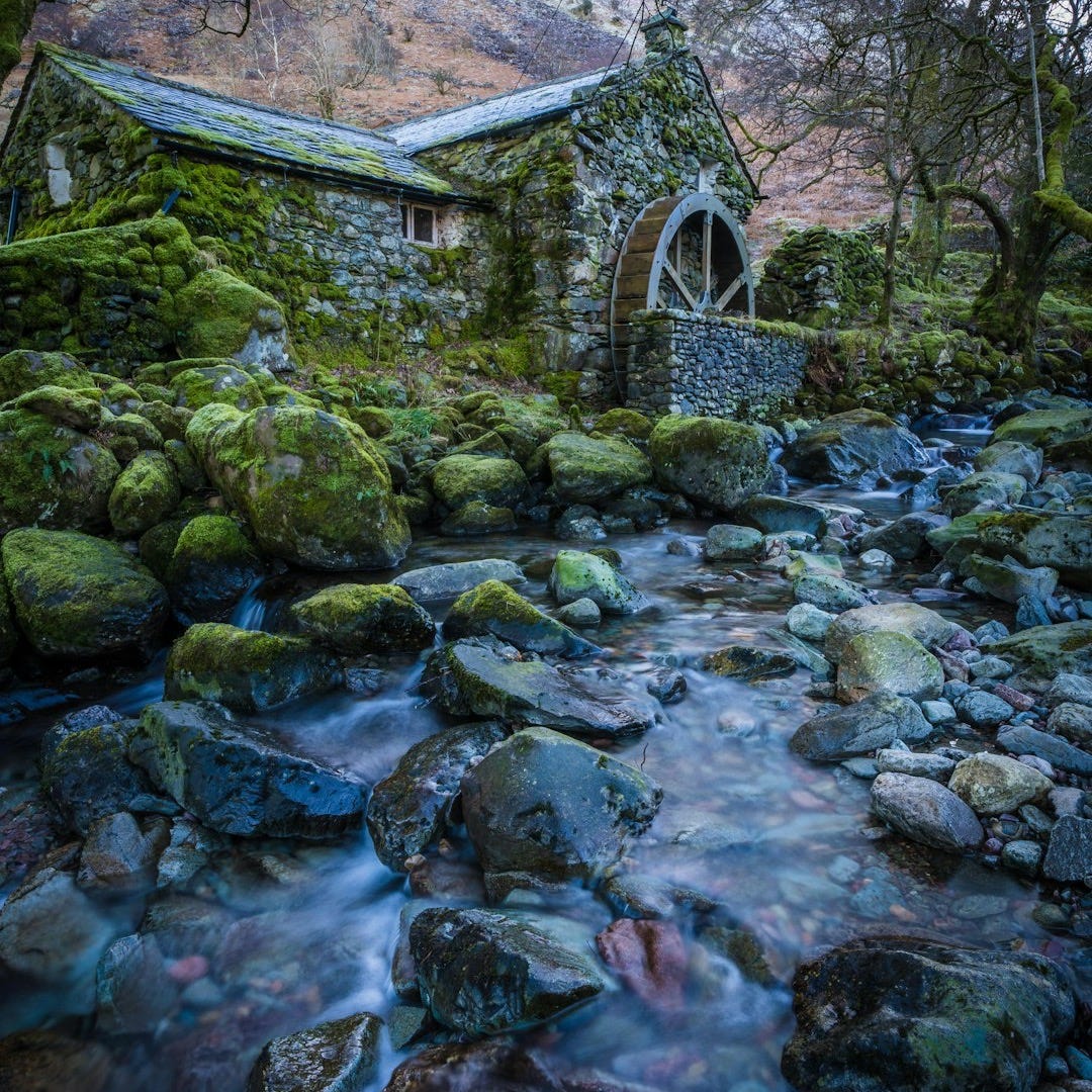a stream running through a lush green forest a stream running through a lush green forest