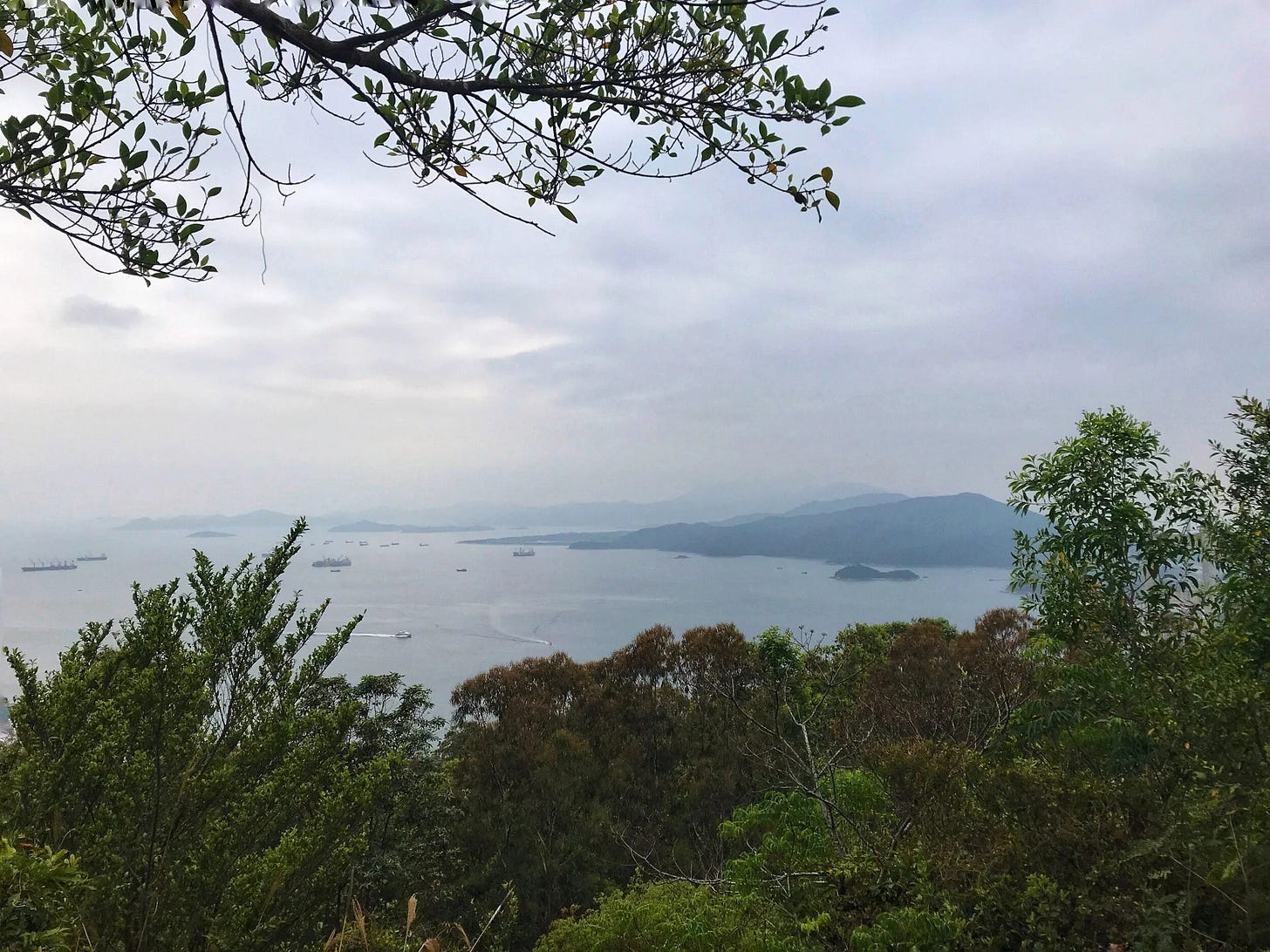  Views from Tsing Yi Nature Trails Hike 