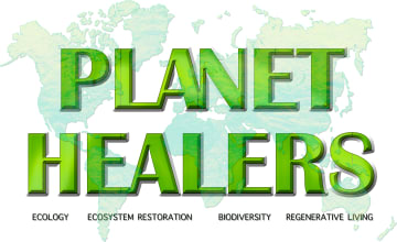 Planet Healers’s Substack