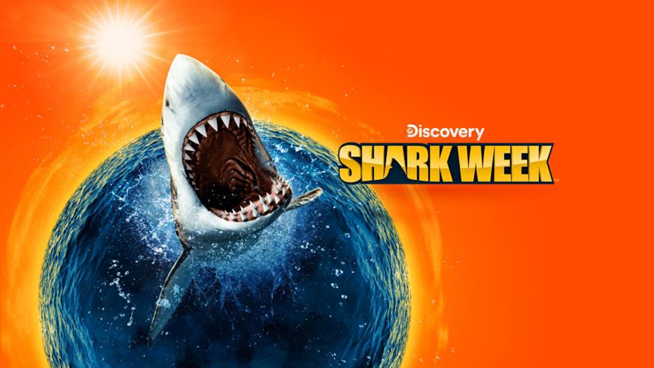 How to Watch Shark Week 2025 With and Without Cable: Dates, Schedule