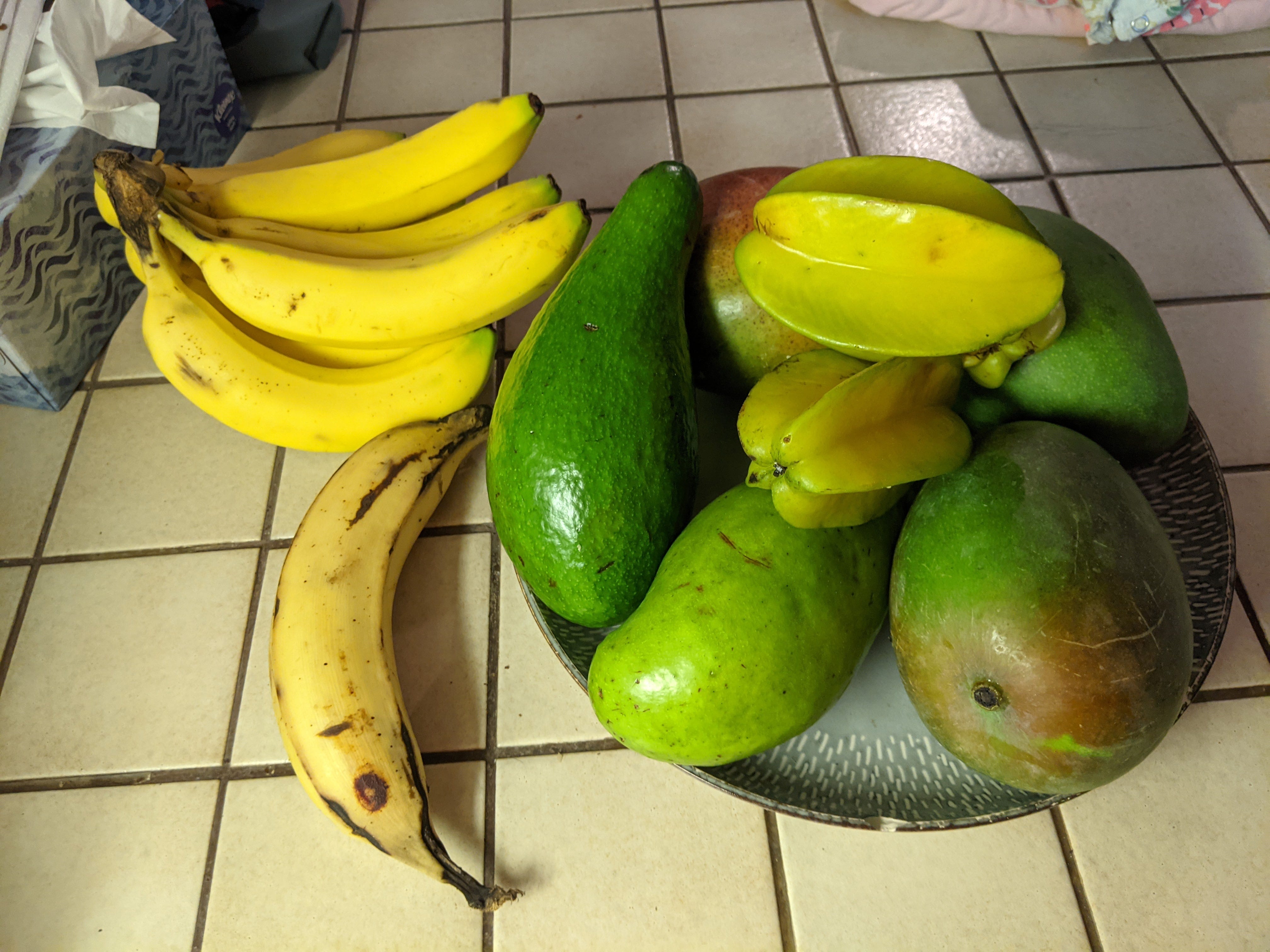 Fruit #1 Quenepa - by Jenna - The Post-San-Juander, image size:4032x3024