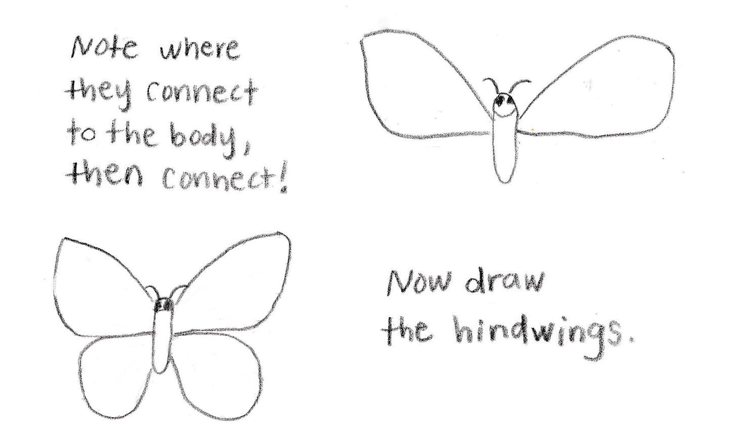 butterfly drawing steps butterfly drawing steps