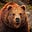 Andrea *IrishBearO's avatar