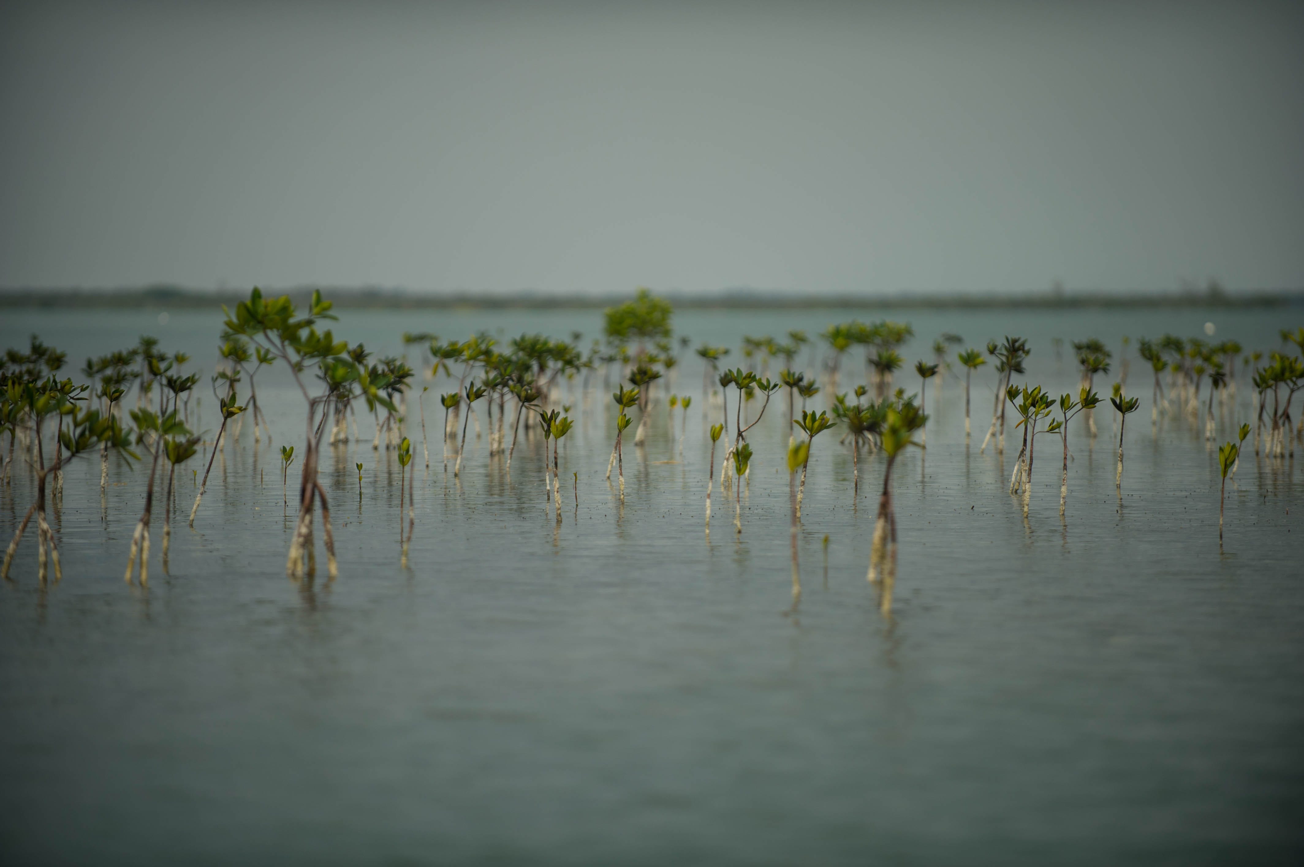 Part Three: Water