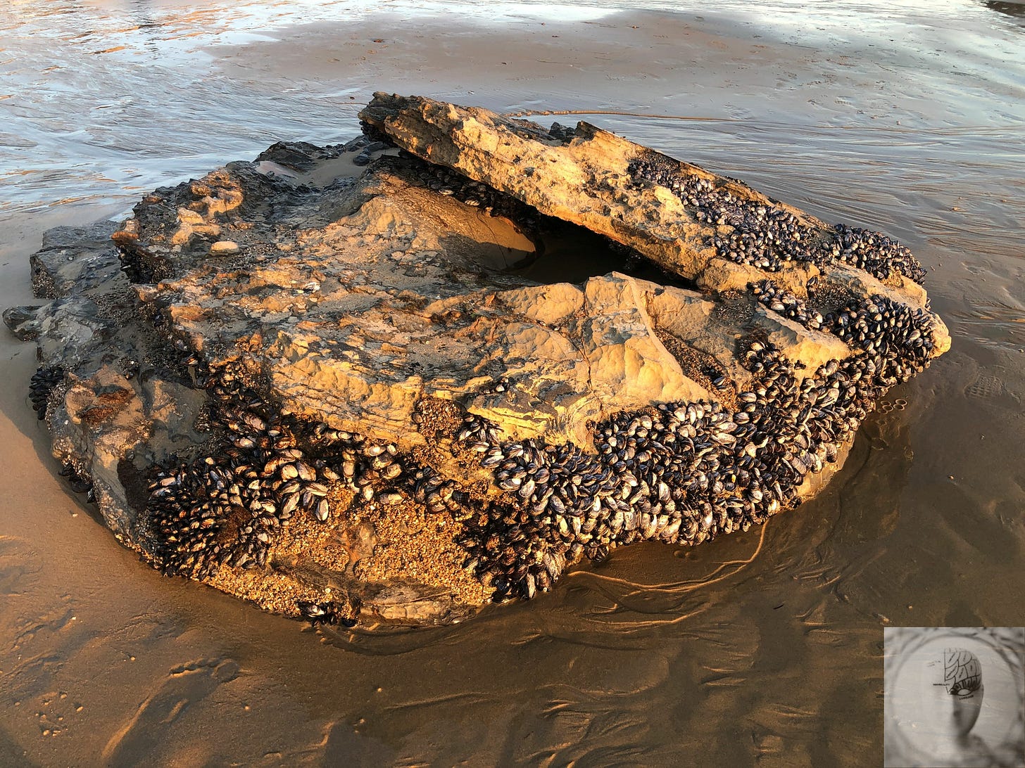 Rock with hollow and footprints
