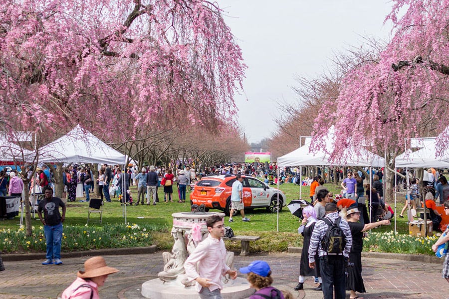 2026 Philadelphia Cherry Blossom Festival: What's New | Visit Philadelphia 2026 Philadelphia Cherry Blossom Festival: What's New | Visit Philadelphia
