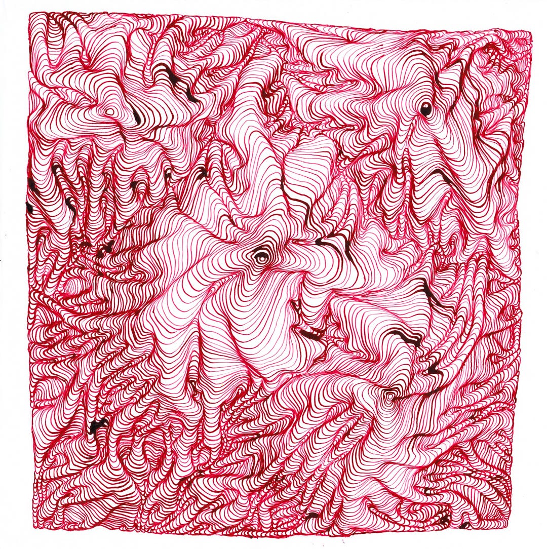 Complex red line drawing