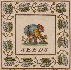 This may contain: an animal with leaves on it's back and the words seeds This may contain: an animal with leaves on it's back and the words seeds