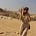 Lindsay | Travelbug's avatar