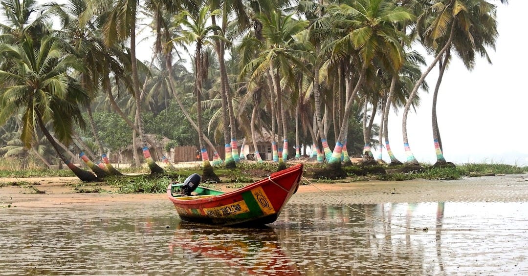 red boat on body of water near green palm trees during daytime