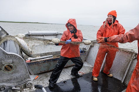 Photos of a woman writing in a waterproof notebook, picking sockeye salmon out of a gill net, and fishing for salmon in Alaska