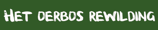 Het Oerbos - Human Rewilding 